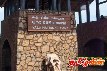 சுற்றுலா பயணிகளுக்காக திறக்கப்பட்டுள்ள தேசிய பூங்காக்கள்