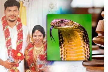 கொடிய விஷநாகத்தை கடிக்க வைத்து மனைவியை கொன்ற கணவனுக்கு இரட்டை ஆயுள் தண்டனை! நாட்டை அதிரவைத்த வழக்கில் பரபரப்பு தீர்ப்பு