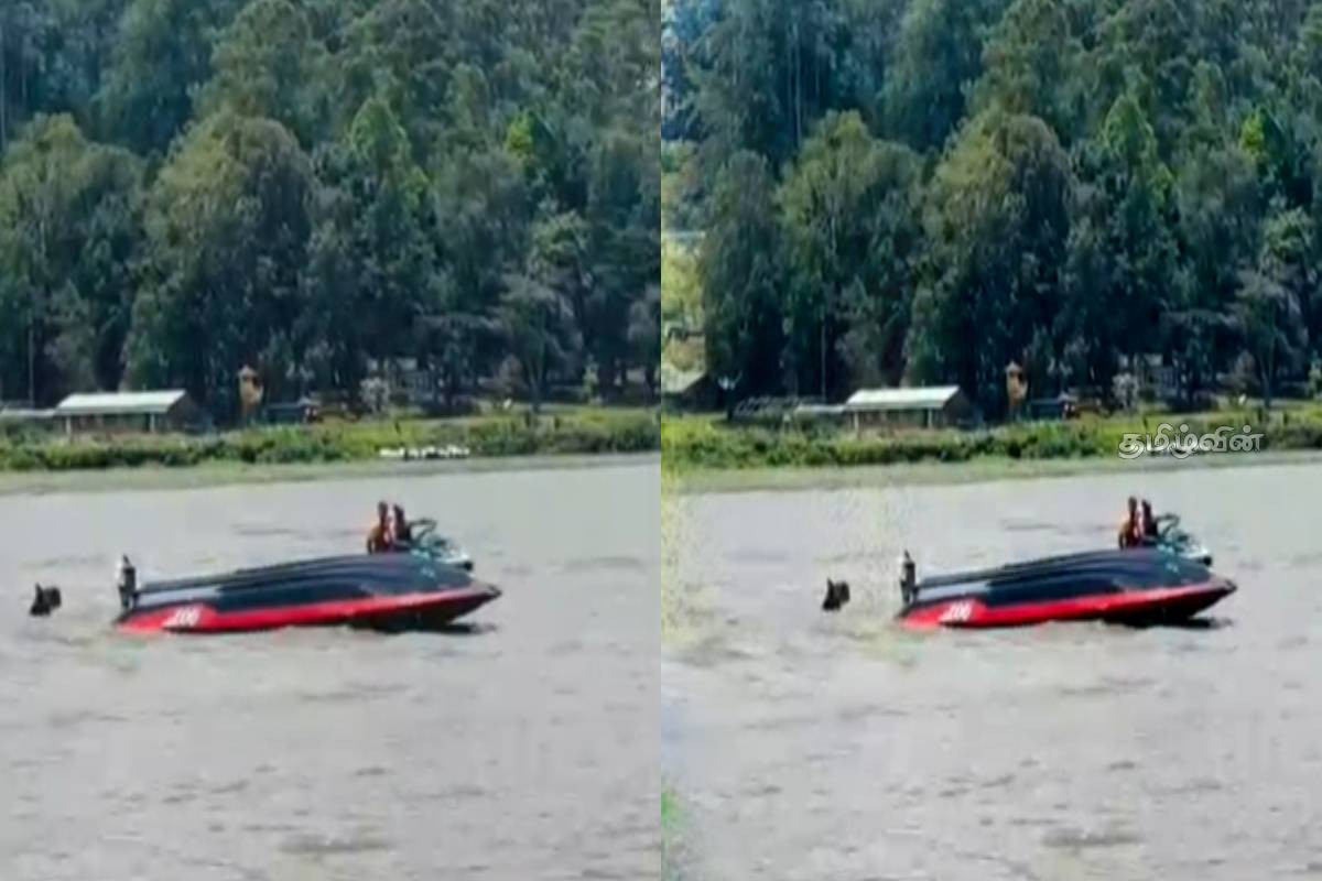 நுவரெலியாவுக்கு சுற்றுலாச் சென்ற இருவருக்கு நேர்ந்த கதி - இருவர் கைது! | Two People Who Went On A Trip To Nuwara Eliya