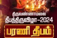 திருக்கார்த்திகை 2024:பக்தி முழக்கத்துடன் ஏற்ற பட்ட பரணி தீபம்