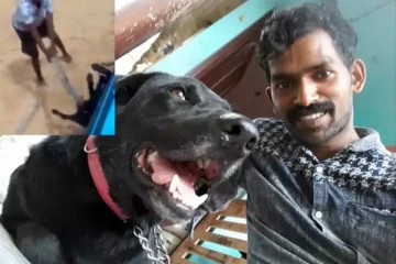 நாயை தலைகீழாக கட்டிவைத்து கட்டையால் அடித்து சித்ரவதை செய்து கொன்ற கொடூரம்! பதறவைக்கும் வீடியோவின் பின்னணி