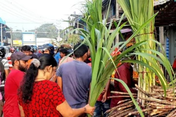 யாழ்ப்பாணத்தில் களைகட்டும் பொங்கல் வியாபாரம்!