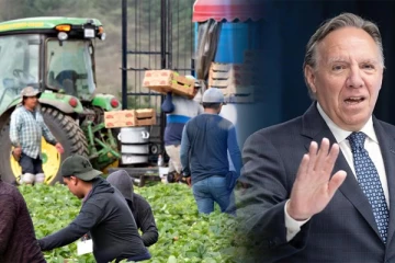 பணியாளர்களுக்குத் தட்டுப்பாடு: ஆனாலும் புலம்பெயர்தலை கட்டுப்படுத்த திட்டமிட்டுள்ள கனேடிய மாகாணம்