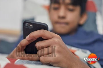 වට්ස්ඇප් හරහා නිරුවත් ඡායාරූප පතුරුවා හැරූ තරුණයින් දෙදෙනෙක් පොලිස් දැලේ