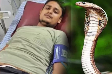 40 நாளில் 7 முறை பாம்பு கடித்தும் உயிர் பிழைத்த அதிசய இளைஞர்!