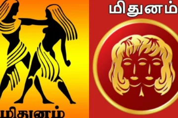 2026 பிப்ரவரியில் மிதுன ராசியினர் இந்த விஷயங்களில் கவனமாக இருக்க வேண்டும்
