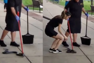 பாம்பை அசால்ட்டாக கையில் தூக்கிச்செல்லும் பெண்: பகீர் கிளப்பும் காட்சி!