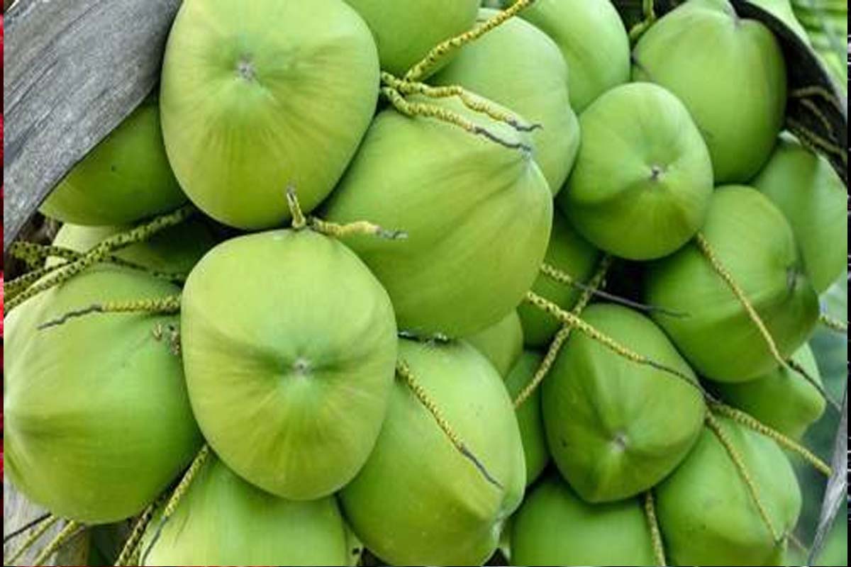 கோடைகாலத்தில் உடல் எடையை குறைக்க உதவும் உணவுகள் | Foods To Reduce Weight During Summer Season