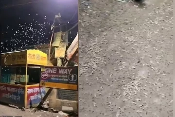 வானிலிருந்து மழையாக கொட்டிய புழுக்கள்: ஒரு வைரல் வீடியோ