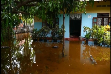 மன்னார் மாவட்டத்தில் தொடர் மழை: பாதிக்கப்பட்ட பகுதிகளுக்கு அரசாங்க அதிபர் விஜயம்