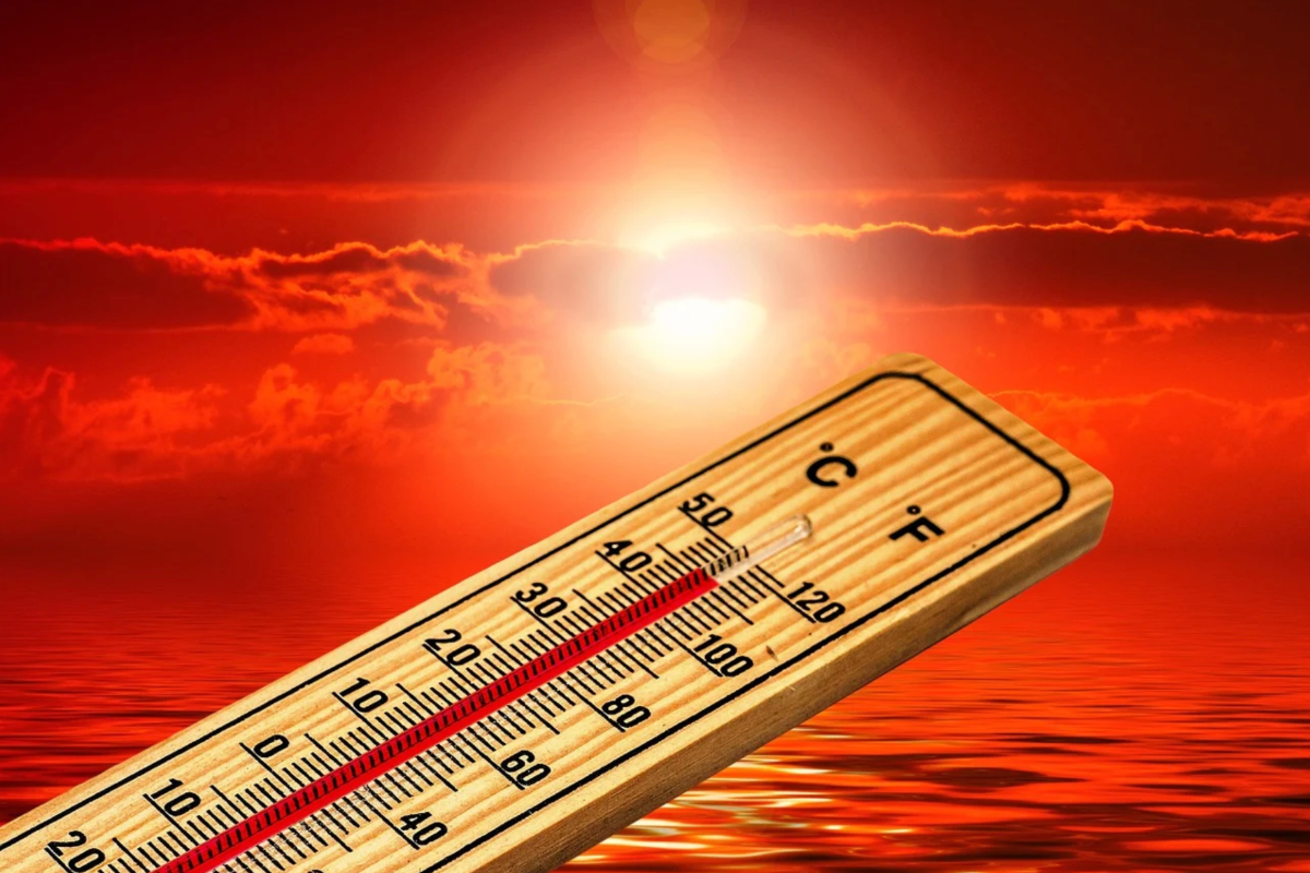 டொராண்டோ மக்களுக்கு விடுக்கப்பட்டுள்ள எச்சரிக்கை | Heat Warning In Effect For Toronto Humidity