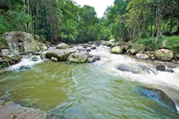 புத்தாண்டில் நீராட சென்ற ஒரே குடும்பத்தை சேர்ந்த மூவருக்கு நேர்ந்த சோகம்