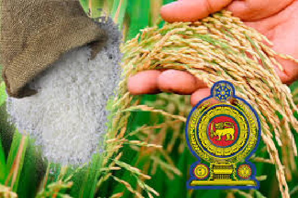 கீரி சம்பா தட்டுப்பாடு : அரசு எடுத்துள்ள நடவடிக்கை | Keeri Samba To Be Imported