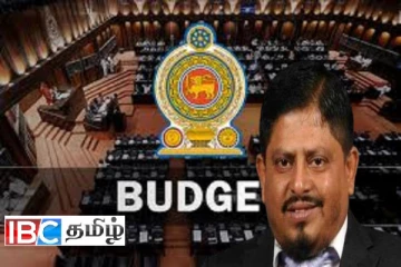 அநுர அரசின் பட்ஜட்டை ஆதரித்த எதிரணி எம்.பி