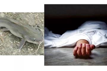 உயிருடன் மீன் தொண்டைக்குள் சிக்கி இளைஞர் பரிதாப பலி!