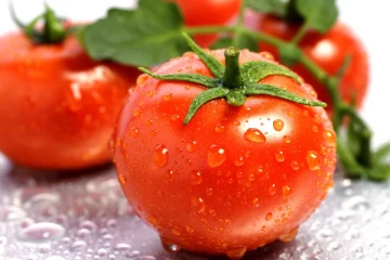 மறந்து கூட இப்படி செய்யாதீர்கள்! தக்காளியை பிரிட்ஜில் வைப்பதால் ஏற்படும் ஆபத்து.. அவசியம் தெரிந்து கொள்ளுங்கள்