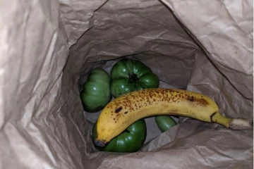 ஒரே ஒரு வாழைப்பழம் போதும் நொடியில் பச்சை தக்காளி பழுத்துவிடும்... எப்படி தெரியுமா?