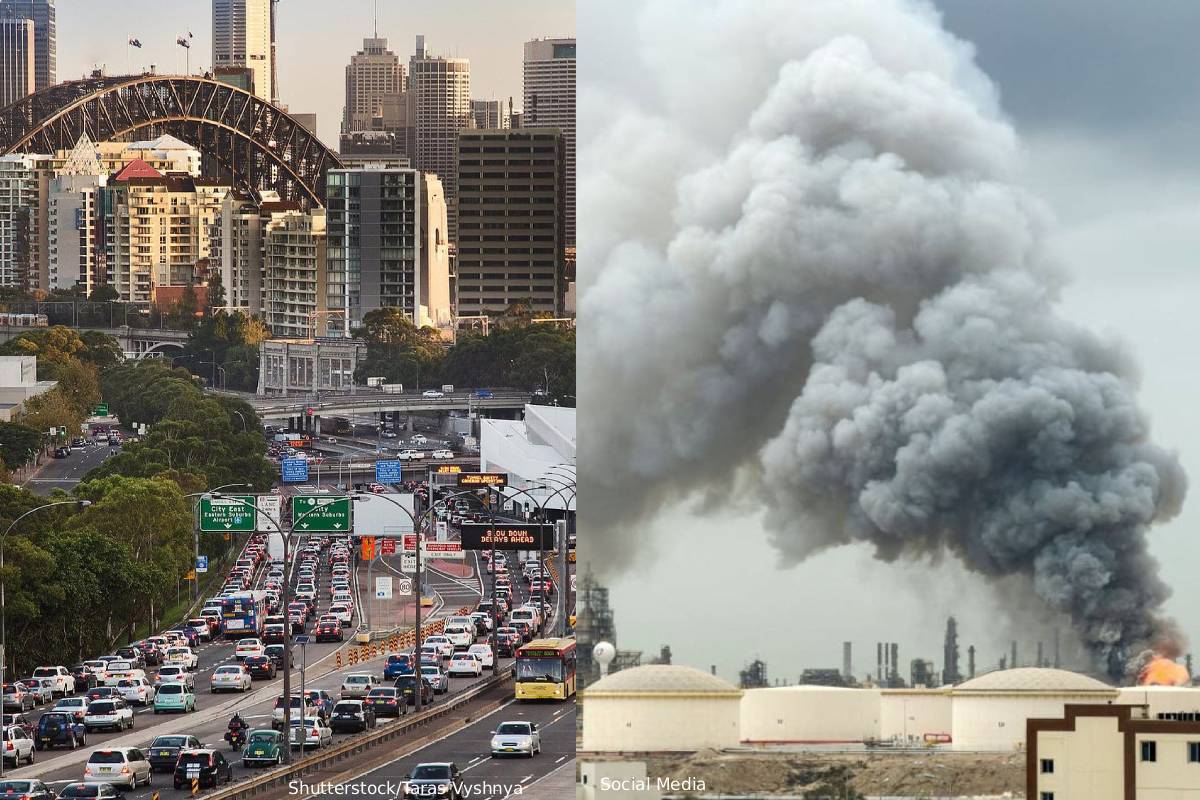 Anthony Albanese dismissed suggestion of wfh Anthony Albanese dismissed suggestion of wfh