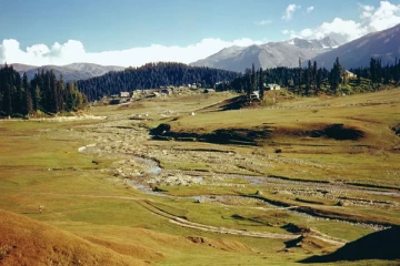 நான்காவது நாளாகவும் தொடரும் தாக்குதல்