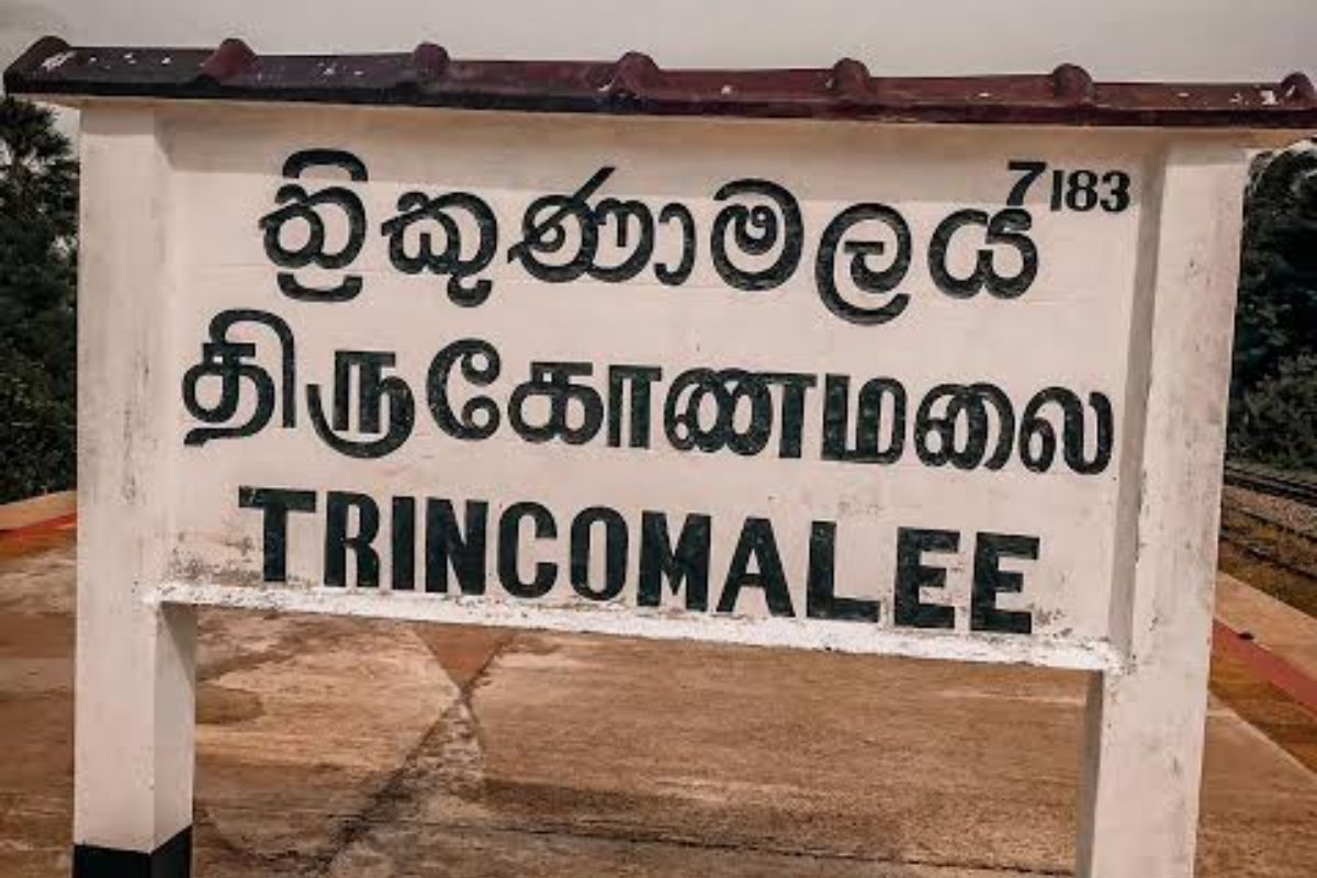 திருகோணமலை மாவட்டத்தில் அரச சேவைகளைப் பெறுவதில் 64.7% பேர் அதிருப்தி - ஆய்வில் தகவல் | Government Service In Trincomalee District திருகோணமலை மாவட்டத்தில் அரச சேவைகளைப் பெறுவதில் 64.7% பேர் அதிருப்தி - ஆய்வில் தகவல் | Government Service In Trincomalee District
