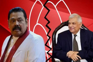 ரணிலுக்கு பெருகும் ஆதரவு: மகிந்தவை விமர்சித்த மொட்டு கட்சியின் முக்கியஸ்தர்