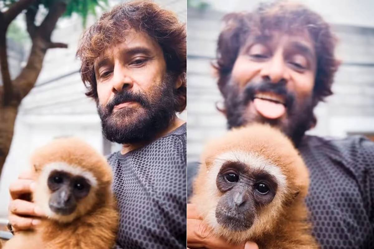 விக்ரமின் குரங்கு வீடியோவால் சிக்கலில் சம்பந்தி! வனத்துறை விசாரணை | Actor Vikram Controversy With Lar Gibbon Monkey விக்ரமின் குரங்கு வீடியோவால் சிக்கலில் சம்பந்தி! வனத்துறை விசாரணை | Actor Vikram Controversy With Lar Gibbon Monkey