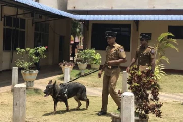 ஜேர்மனியர்களின் பொதிகளை சோதனையிட்ட பொலிஸாருக்கு காத்திருந்த அதிர்ச்சி!