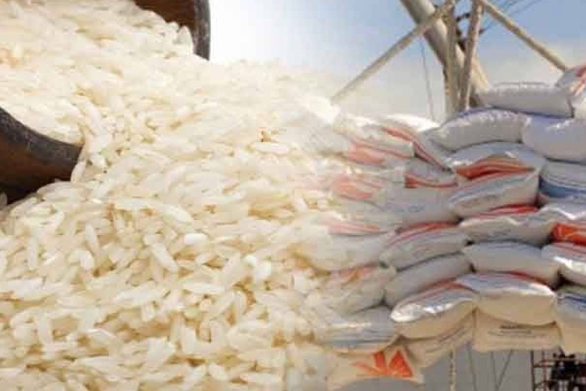 அரிசி தட்டுப்பாடு குறித்து வெளியான தகவல்! | Government Preparing For Rice Import அரிசி தட்டுப்பாடு குறித்து வெளியான தகவல்! | Government Preparing For Rice Import