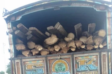 புங்குடுதீவிலிருந்து மரங்களை கடத்திய சாரதி கைது (Photos)