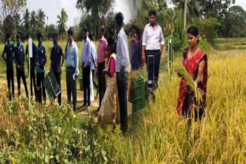 முல்லைத்தீவு விவசாய பண்ணையில் அறுவடை ஆரம்பம்