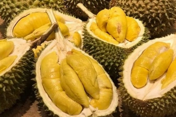 துரியன் பழம் சாப்பிட்ட முதியவருக்கு நேர்ந்த கதி | The Fate Of The Old Man Who Ate Durian Fruit