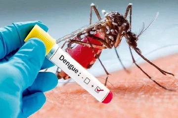 அதிகரிக்கும் டெங்கு காய்ச்சல்.. வழிவகுக்கும் வகையில் செயல்பட்டால் ரூ.500 அபராதம் - சுகாதாரத்துறை அறிவிப்பு!