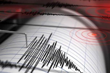 மலேசியாவில் 7.1 ரிக்டர் அளவிலான சக்திவாய்ந்த நிலநடுக்கம் பதிவு