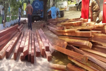 யாழில் பாலை மரக் குற்றிகளை கடத்தி சென்ற நபர் கைது