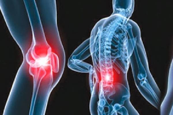 கோடை காலத்தில் செரி பழங்களை அடிக்கடி சாப்பிட வேண்டும் ; ஏன் தெரியுமா? | Cherries Should Be Eaten Frequently During Summer