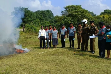 வவுனியாவில் தீ வைக்கப்பட்ட 300 கிலோ கஞ்சா: நீதிபதி இளஞ்செழியன் நடவடிக்கை