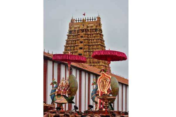 நல்லூர் கந்தசுவாமி ஆலய நான்காம் நாள் மாலை உற்சவம்(படங்கள்) | 4Th Festival Of Nallur Kandaswamy Kovil Today