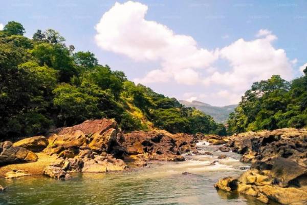 கண்டி மகாவலி ஆற்றில் மூழ்கி இரு மாணவர்கள் மாயம்: தேடுதல் நடவடிக்கை தீவிரம்! | Two Students Missing Thannekumbura Bridge In Kandy