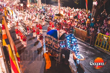 ඇසළ පෙරහැරට මේ දවස්වලදී විශේෂ දුම්රිය ගමන්වාර