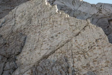 21 கோடி ஆண்டுகள் பழமையான டைனோசர் காலடிச்சுவடுகள் கண்டுபிடிப்பு