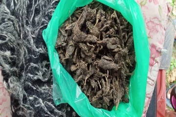 யாழ். சங்கானையில் கஞ்சாவுடன் ஒருவர் கைது(Photos)