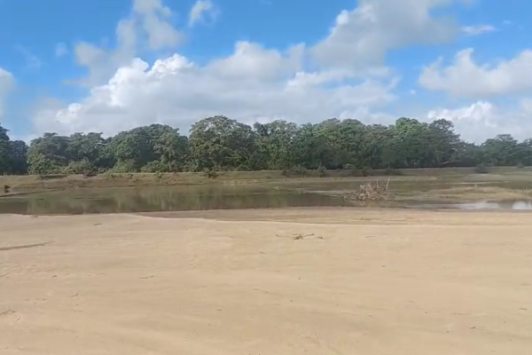 திருகோணமலையில் கடற்கரையாக மாறிய விவசாய நிலங்கள்! | Agricultural Lands Turned Beach Trincomalee Ditwah திருகோணமலையில் கடற்கரையாக மாறிய விவசாய நிலங்கள்! | Agricultural Lands Turned Beach Trincomalee Ditwah