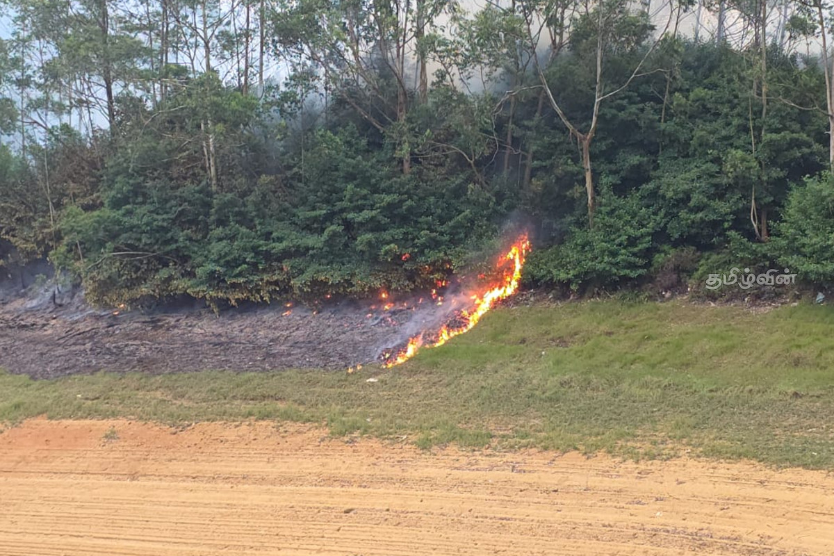 காசல்ரீ நீர்த்தேக்கத்தின் அணைக்கட்டுக்கு அருகே தீப்பரவல்! | Fire Breaks Out Near Dam Of Castlereagh Reservoir காசல்ரீ நீர்த்தேக்கத்தின் அணைக்கட்டுக்கு அருகே தீப்பரவல்! | Fire Breaks Out Near Dam Of Castlereagh Reservoir