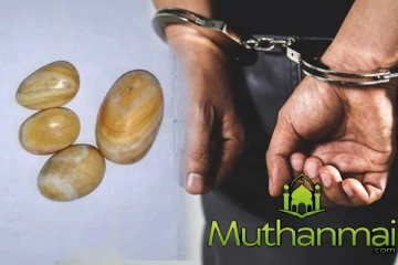 வாழைச்சேனையில் 4 கஜமுத்துக்களுடன் ஒருவர் கைது