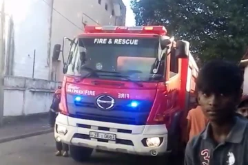 மர ஆலை ஒன்றில் தீ விபத்து ; தீயை அணைக்கும் பணிகள் தீவிரம்