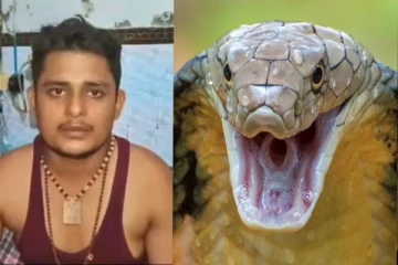ஒரே மாதத்தில் 5 முறை கடித்த பாம்பு - மனிதனை பாம்புகள் பழி வாங்குமா?