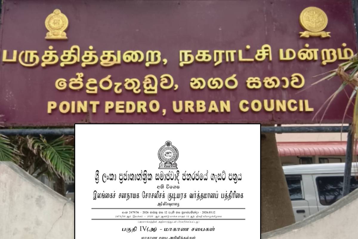 பருத்தித்துறை நகர சபை தவிசாளரின் முறைகேடுகள் : விசாரணைக்கு உத்தரவிட்ட ஆளுநர் | Investigation Pointpedro Uc Chairman Np Governor