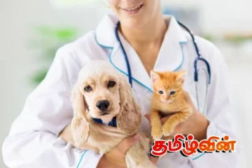 இலங்கையின் விலங்கு உற்பத்தி சுகாதார திணைக்களத்தில் ஏற்பட்டுள்ள வெற்றிடங்கள்