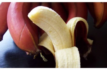 தினமும் ஒரே ஒரு செவ்வாழை மட்டும் சாப்பிடுங்க... இந்த உடல் சம்பந்த பிரச்சனை எல்லாம் ஓடிவிடும்!