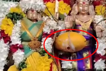 யாழில் இரண்டு லட்சத்திற்கு ஏலம் விடப்பட்ட மாம்பழம்